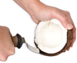 coconut open tool